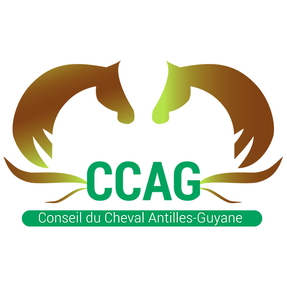 Fédération - Conseil des chevaux Antilles Guyane